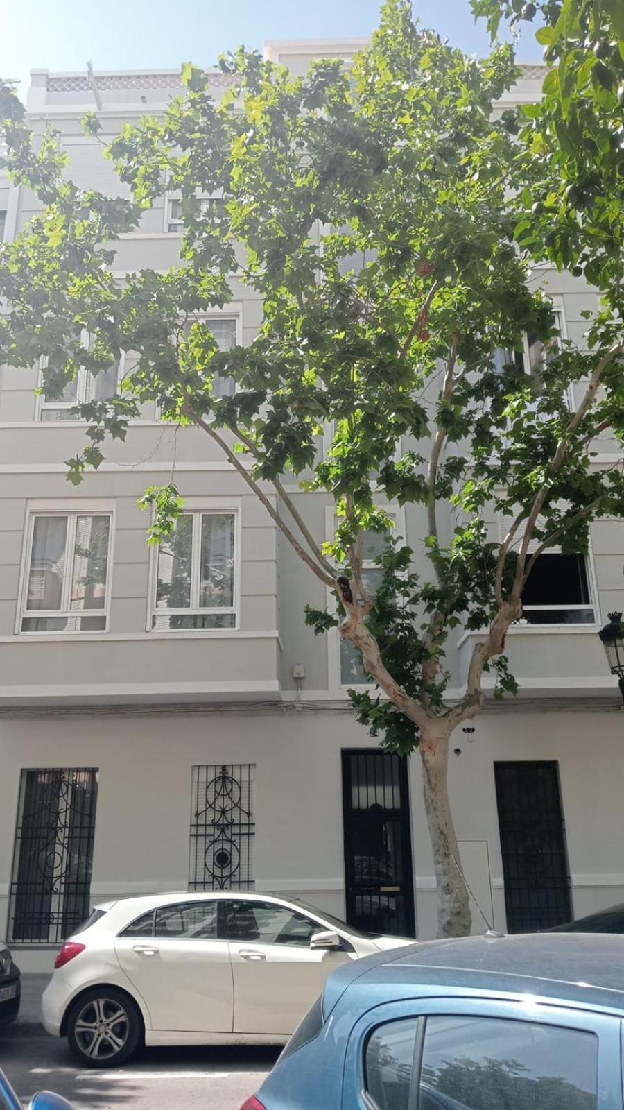 Florit Flats - The Patraix Appartement